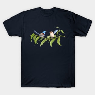 Variegated Fairy-Wrens - by Nadya Neklioudova T-Shirt